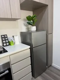 Refrigeradora Daewoo con planta decorativa, encimera con cajones y especiero
